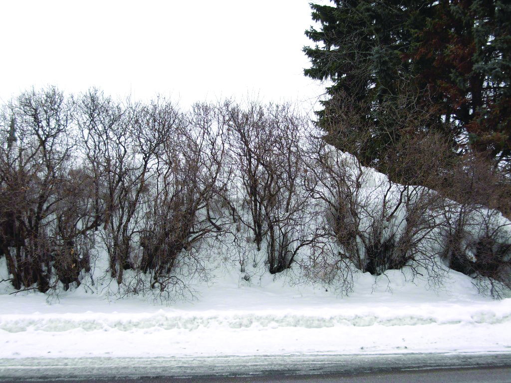 Can you name locations of melting snowhills?