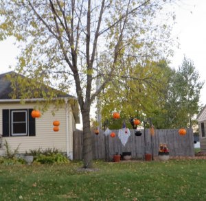 photo by Cori Hilsgen Residents on Minnesota Street E. decorated their tree with pumpkins for the Halloween holiday.  