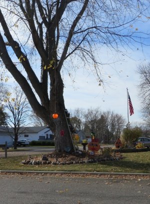photo by Cori Hilsgen Residents on Fifth Avenue SE decorated with these yard decorations.