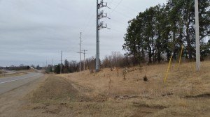 photo by Logan Gruber The city authorized a survey of land for a possible new welcome sign for the city. The land to be surveyed belongs to Xcel Energy, and is between Old Hwy. 52 and CR 2 on the south side of Hwy 75.