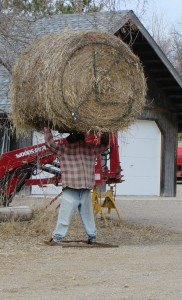 sjnhaybale photo by Cori Hilsgen People driving on Fruit Farm Road by Collegeville might have to do a double take when they see what looks like a person carrying a large bale of hay. Upon closer inspection, viewers can see that it is actually an iron manikin holding the bale up. 