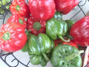 photo by Dennis Dalman Bright, shiny bell peppers – grown in Albany – are just some of the many fresh veggies offered for sale at the Sartell Farmers’ Market.