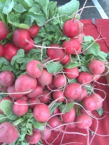 photo by Dennis Dalman Big, plump radishes, fresh from the garden, are always a hit with shoppers at Sartell Farmers’ Market.