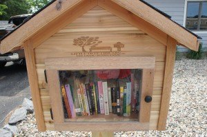 contributed photo This is the Free Little Library installed recently outside of the Nemeth Orthodontics office in Sartell.