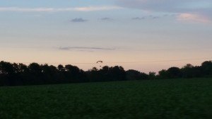 photo by Logan Gruber A parachuter was seen north of St. Joseph, near CR 133 on the evening of June 21. Imagine the view from above on a clear, calm evening like Sunday!