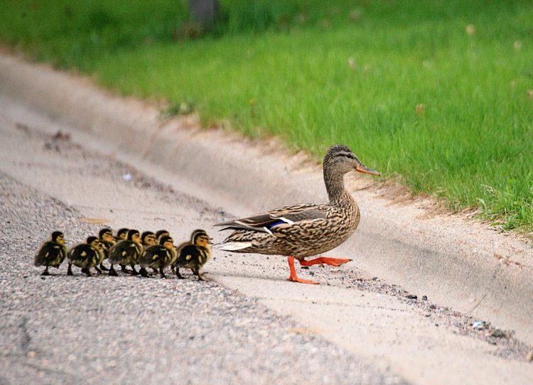 A sign of spring!