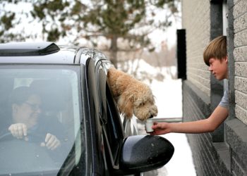 New coffeehouse caters to all tastes, special needs