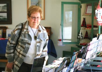 Fun ‘camping’ for all ages at community showcase