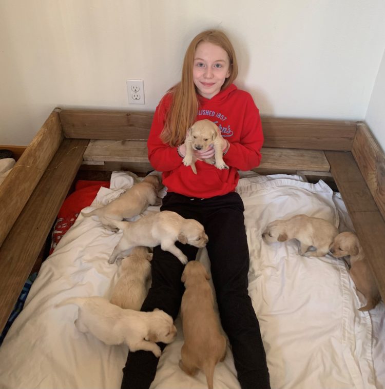 Teen holds birthday party for puppies one year after delivering them