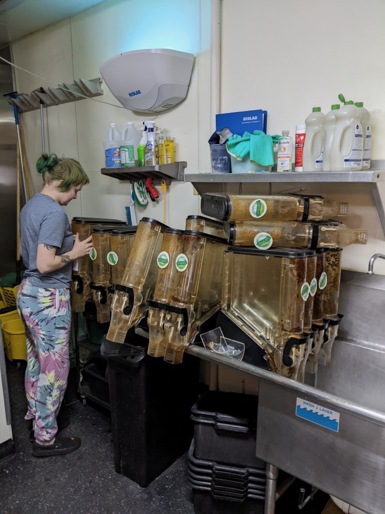 Contributed photoThe Local Blend renovation project Jan. 1 - 8. Ava DeMars cleans gravity dispensers.