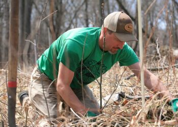 Oak tree planting at St. John’s