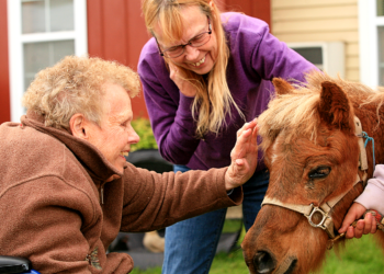 Fall Festival at Edgewood