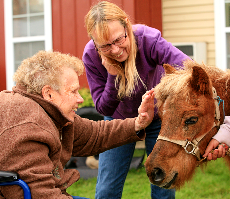 Fall Festival at Edgewood