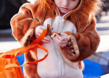 Y2K Lions scare up some fun