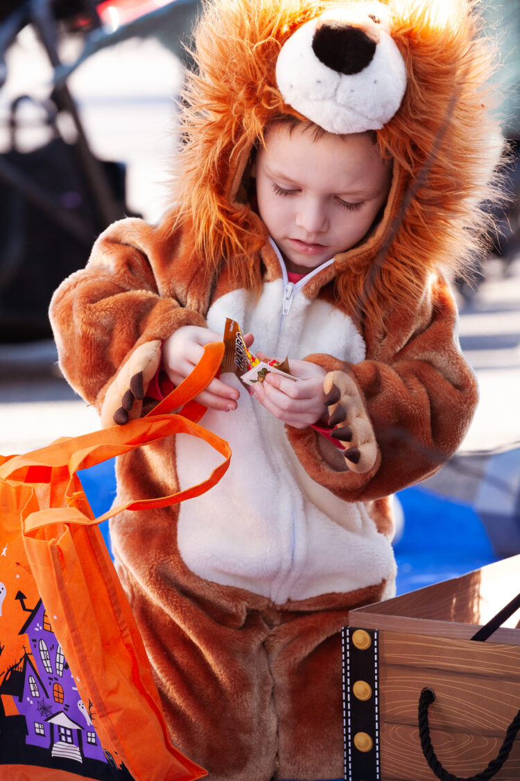 Y2K Lions scare up some fun