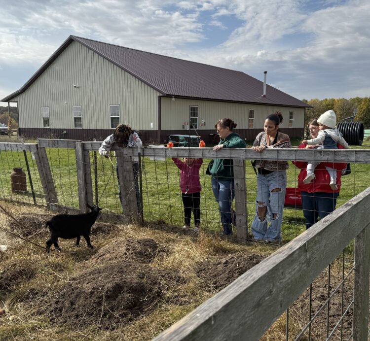 A and G Corn Maze sows seeds of memories
